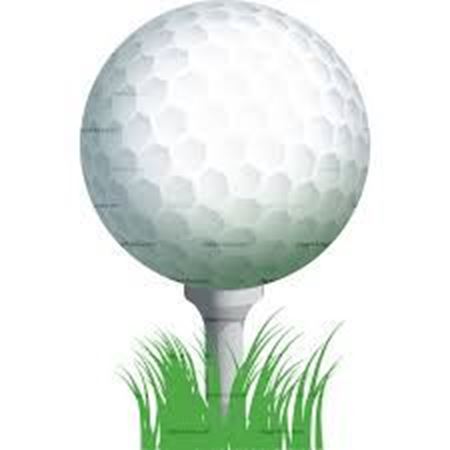 Picture for category Golf